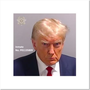 Trump mugshot Posters and Art